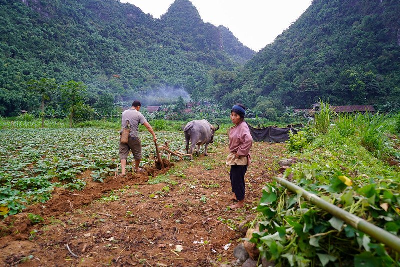 Hiking North Vietnam Tour 8 Days